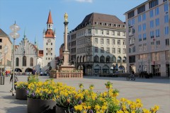 Frühling am Marienplatz