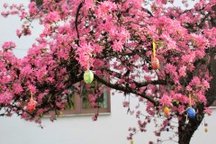 Ostern